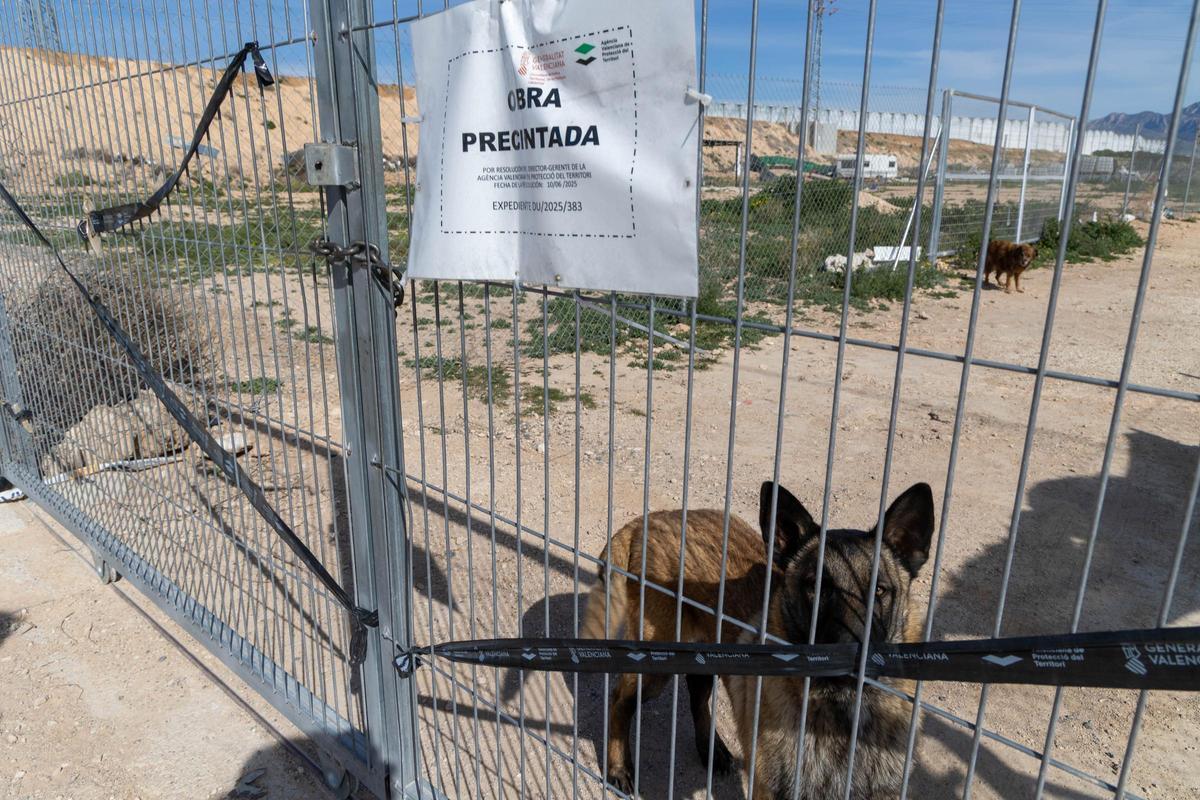 Parcela precintada el pasado octubre, con dos perros en su interior