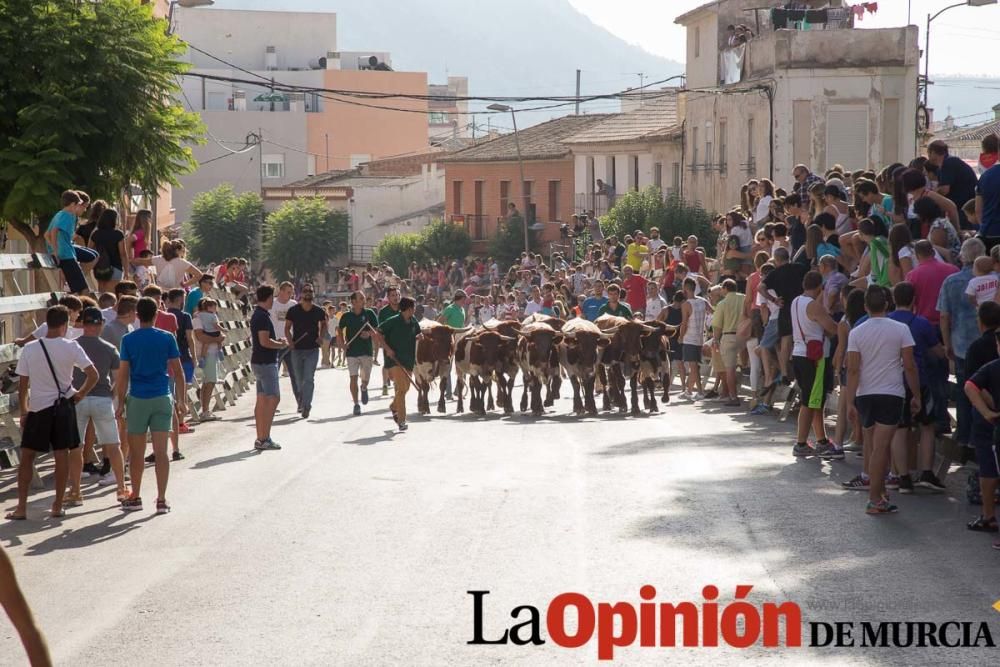 Encierro 'pequeño' en Calasparra