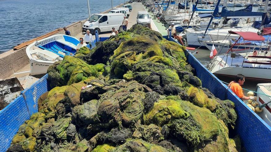 Así es el monstruo verde que asfixia al Mar Menor: 150 personas trabajan en la retirada de biomasa de manera permanente
