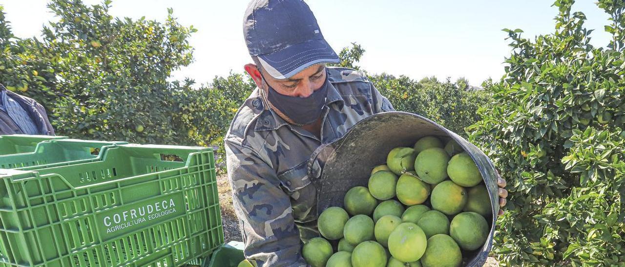 Los agricultores del Alto, Medio y Baix Vinalopó dejarán de extraer agua de los acuíferos en virtud del nuevo plan del Júcar