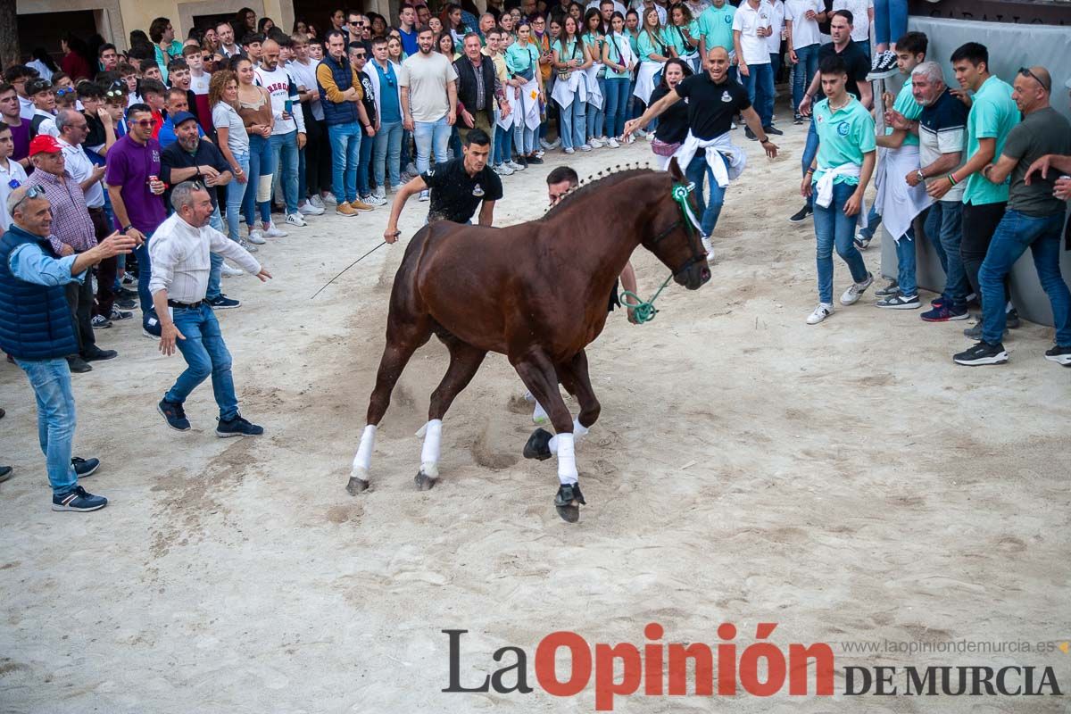 Entrada de Caballos al Hoyo en el día 1 de mayo