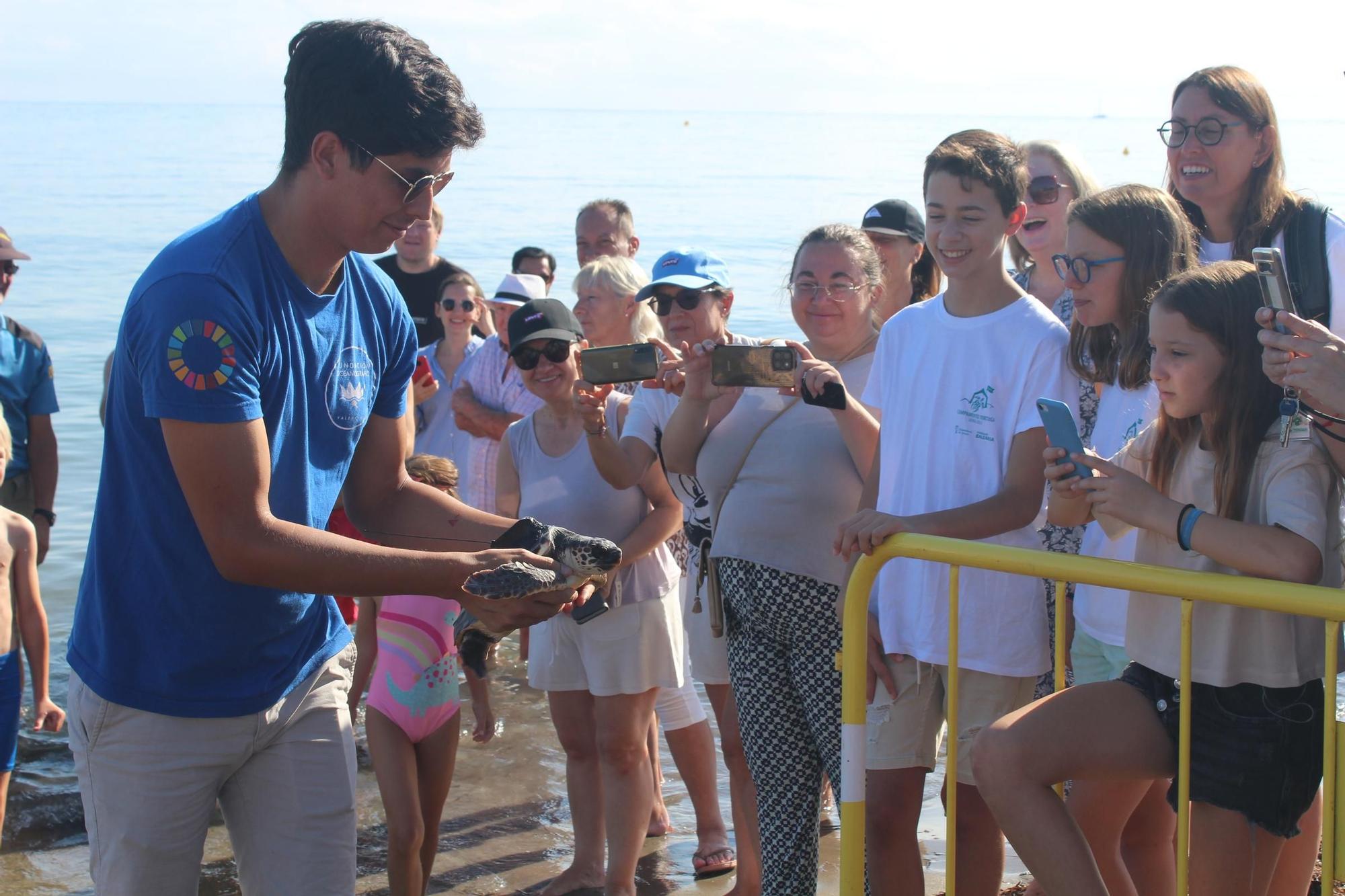 Una gran fiesta que conciencia: las tortugas vuelven al mar en Dénia