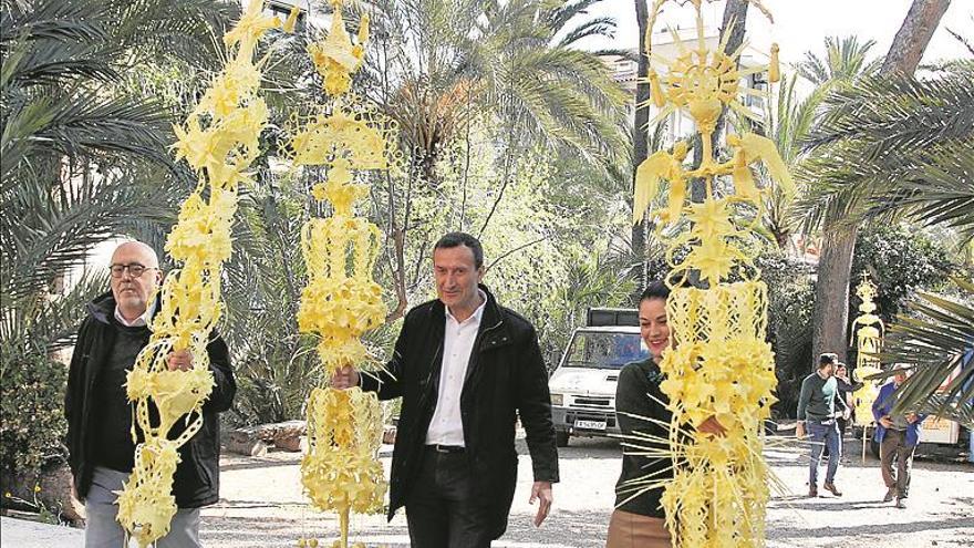 Elche envía las palmas blancas al papa y a los reyes