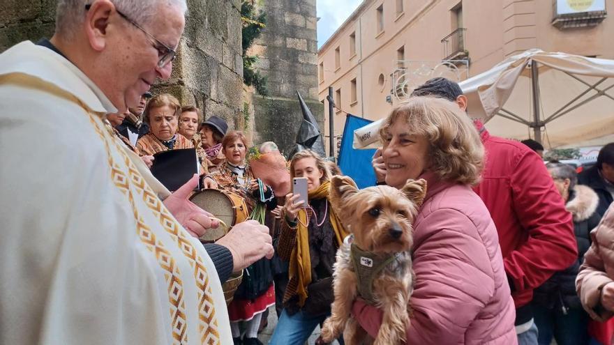 No olvides bendecir a tu mascota mañana en la iglesia de San Juan de Cáceres