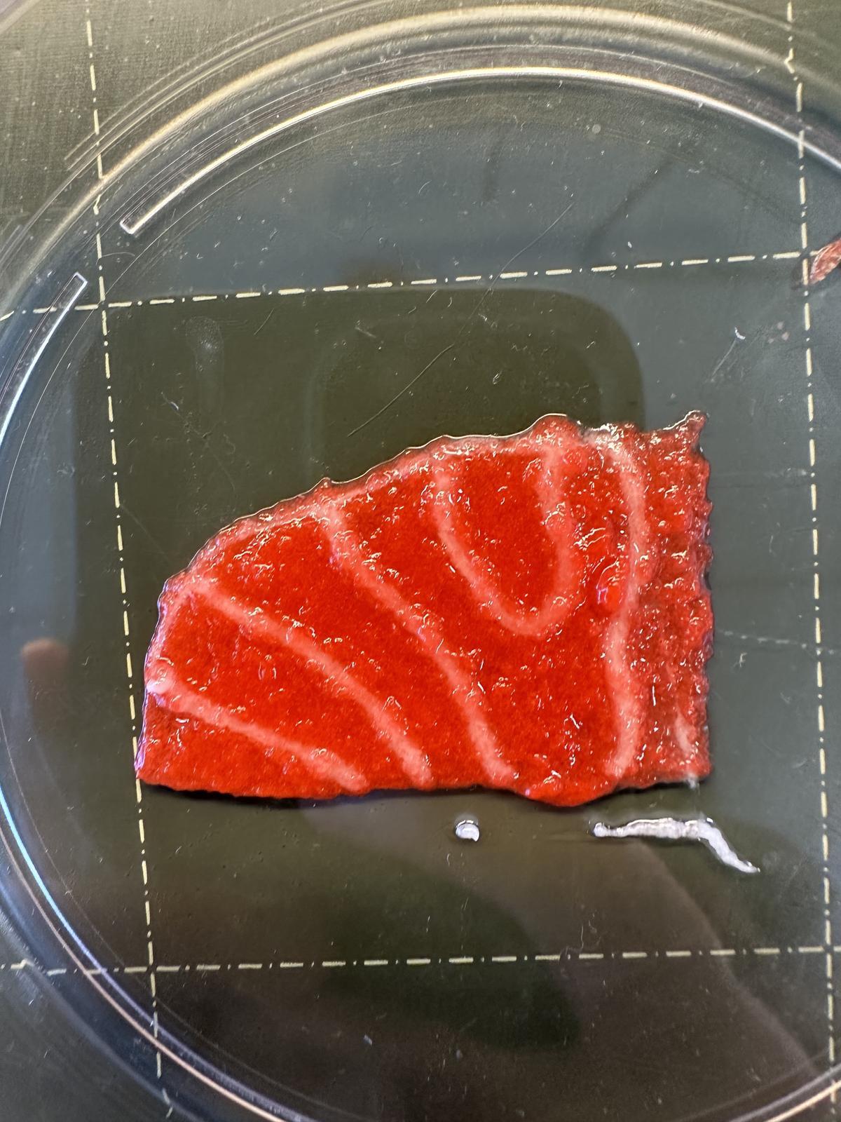 Prototipo de sashimi desarrollado por métodos de agricultura celular en el proyecto Algae2Fish.