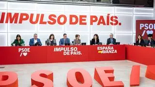 Sánchez pide "rearmar" la estructura territorial del PSOE y "atraer talento ajeno al partido"
