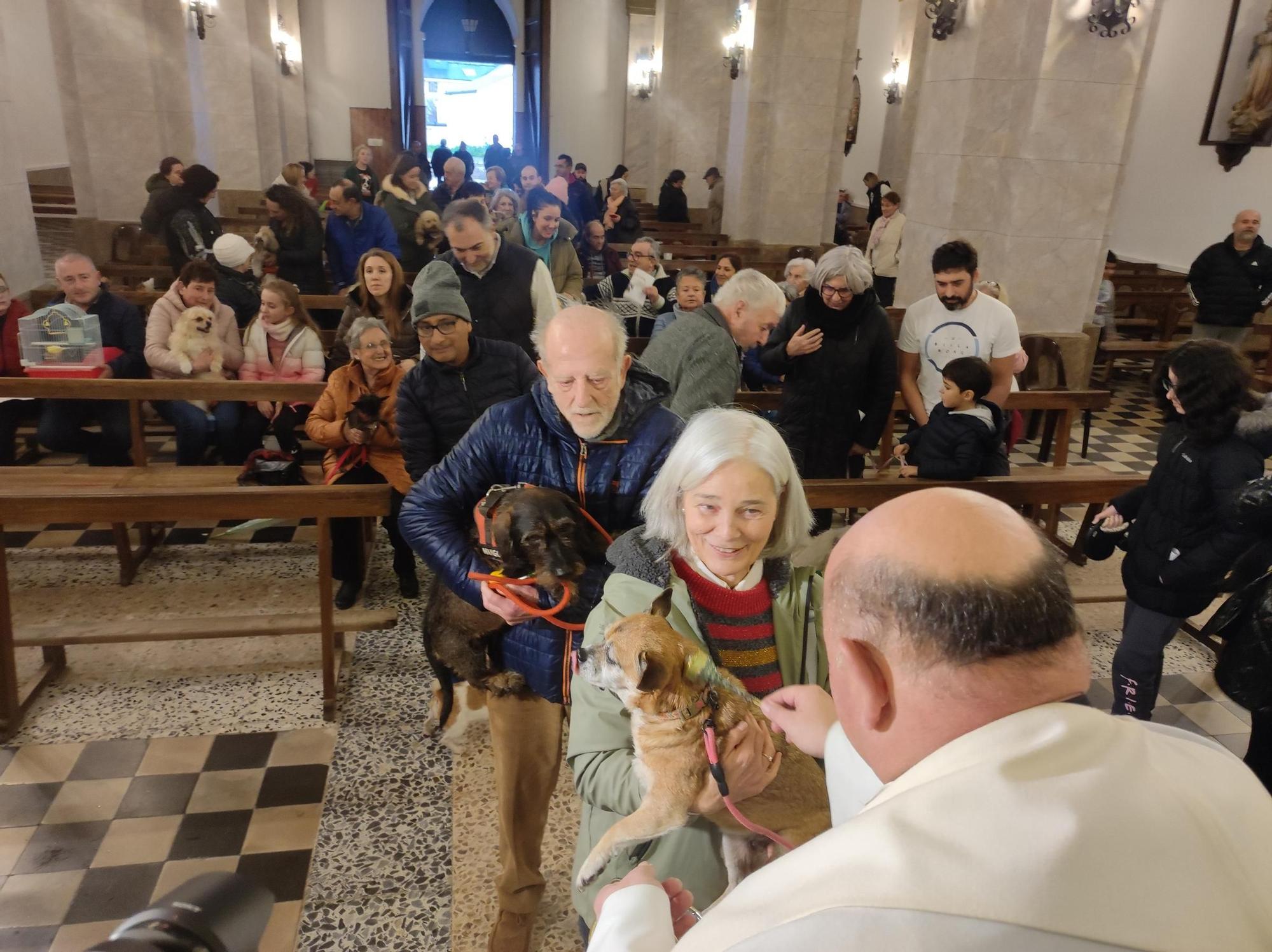 En imágenes: Así fue la bendición de mascotas por San Antón, en Tapia