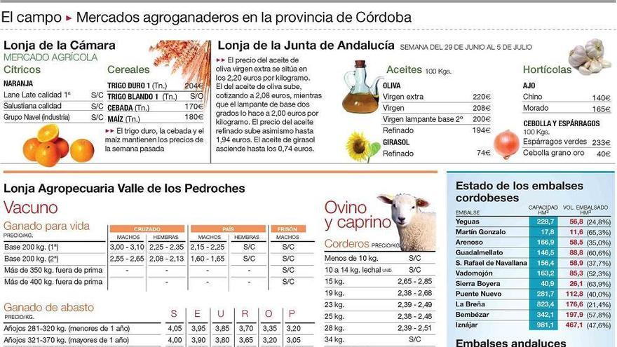 Continúa la recolección de cebolla y melón