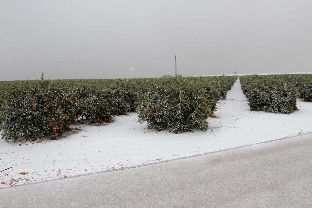 La nieve llega a San Javier, Balsicas y el Campo d