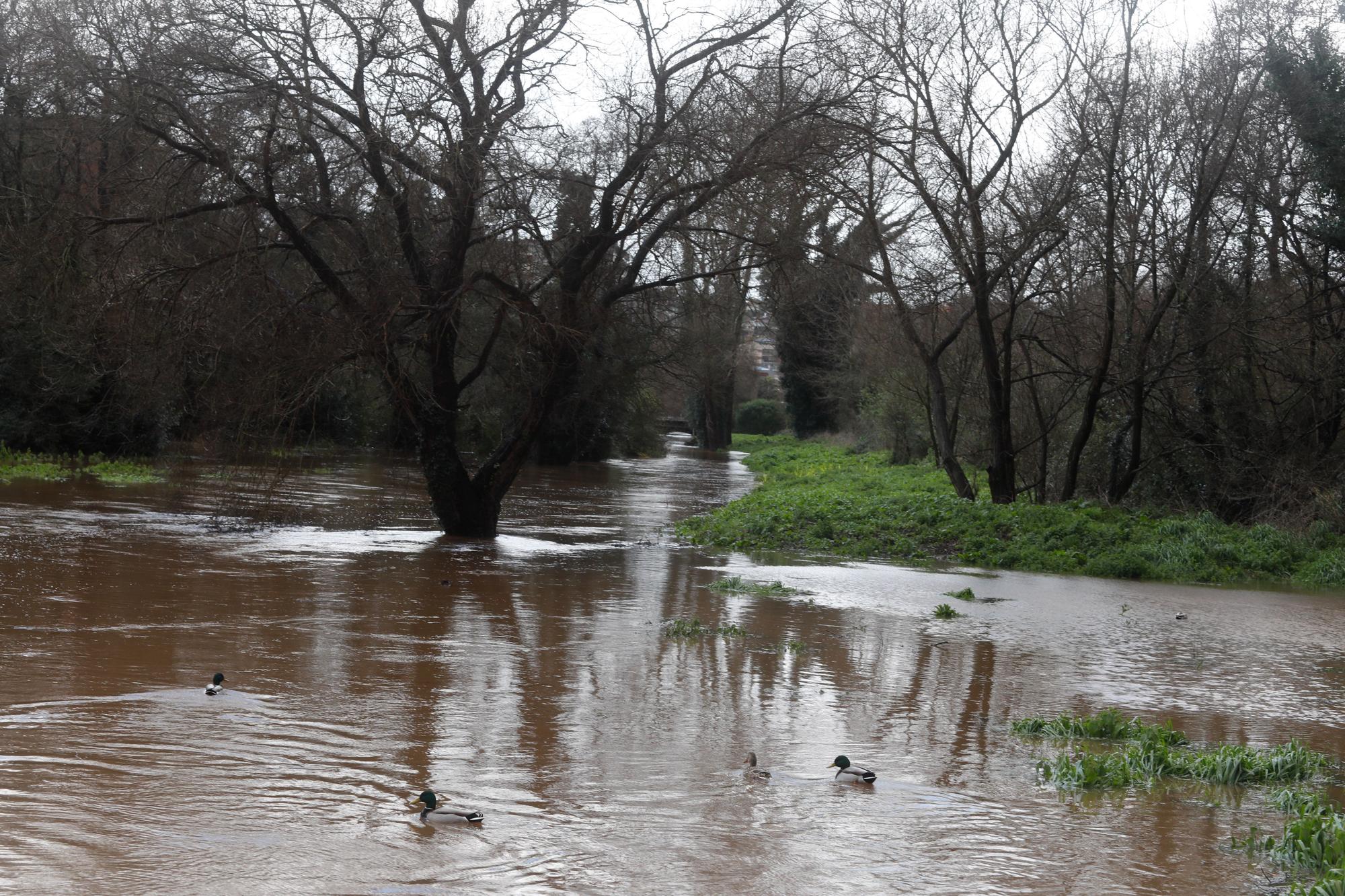 EN IMÁGENES: Así está siendo el temporal del lluvia, viento, oleaje y nieve que azota Asturias