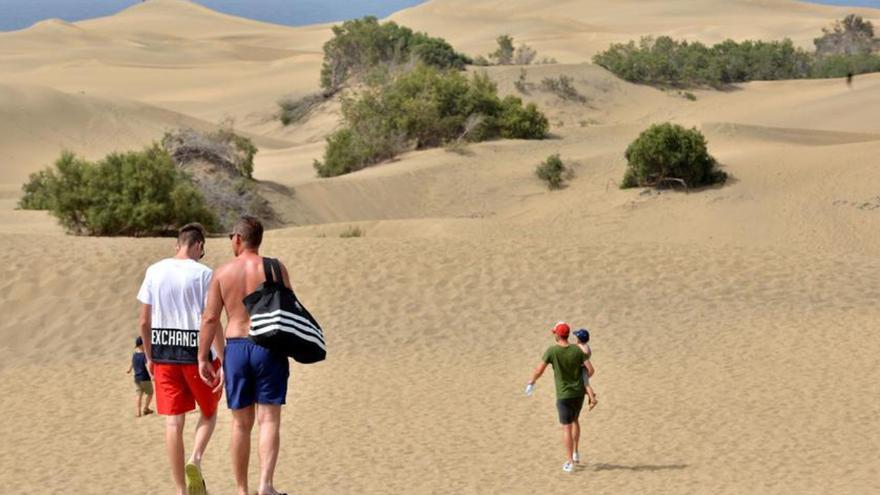 &quot;No se puede ser más tolete&quot;: quejas a los vándalos de las Dunas de Maspalomas