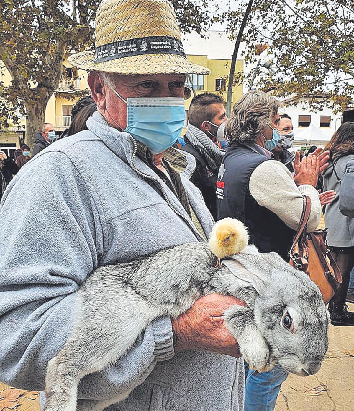 Un conejo y un pollito muy bien avenidos.