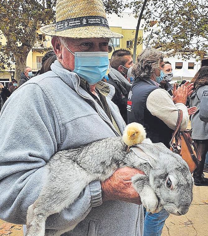 Un conejo y un pollito muy bien avenidos.