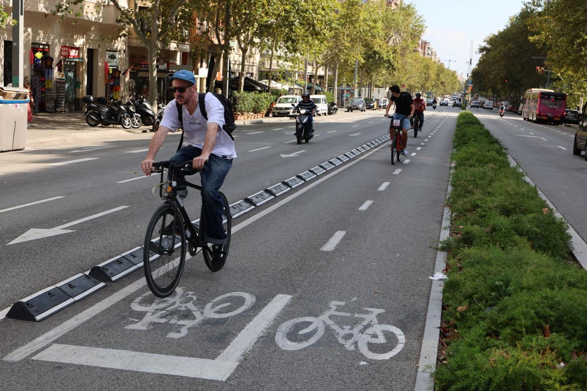 Carril bici en la Avinguda del Paral.lel, en el tramo de la c/Tamarit hasta la plaza Espanya.