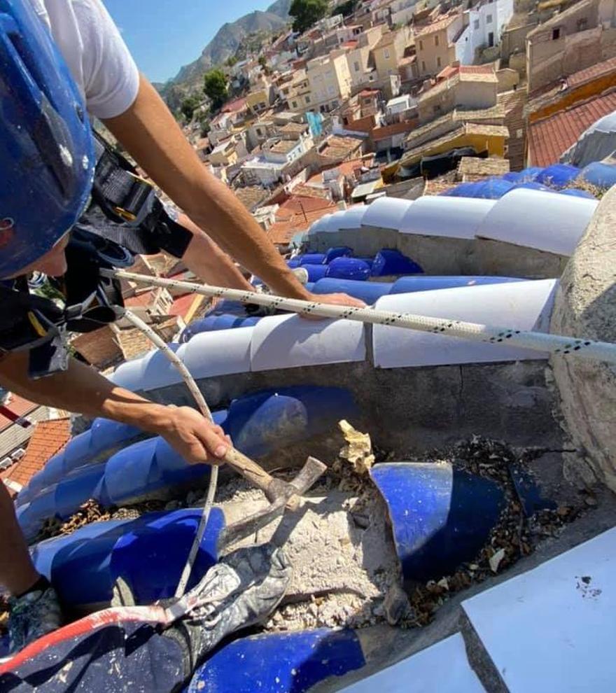 Los trabajadores retirando las raíces de la higuera.