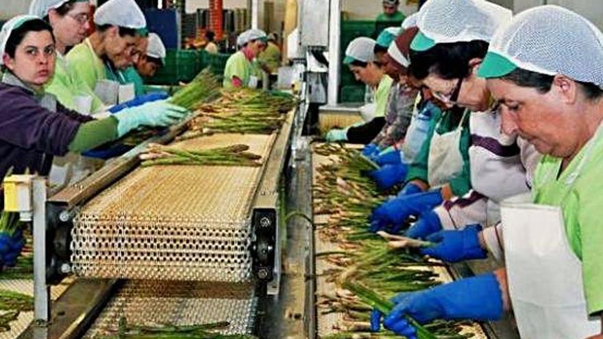 Treballadores del sector agrari a la regió andalusa de Poniente Granadino.