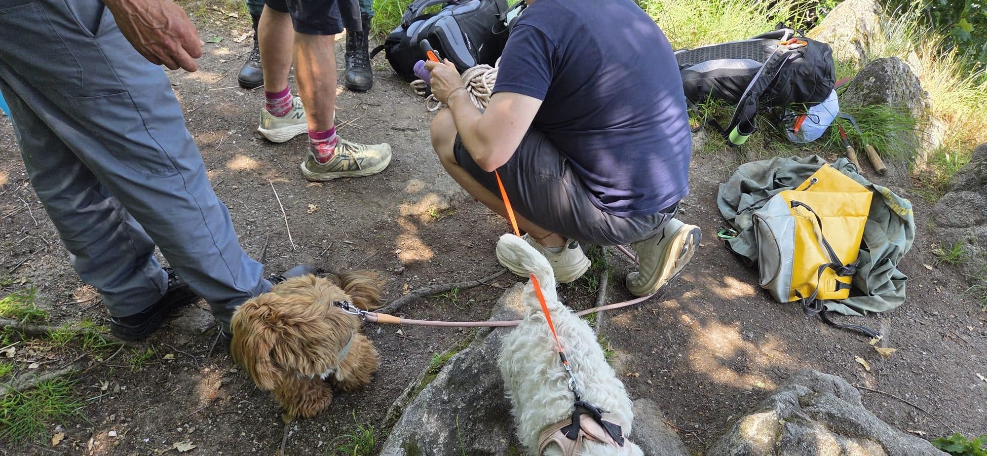 Así fue el rescate del perro que se precipitó por la ladera de un mirador en la Ribeira Sacra