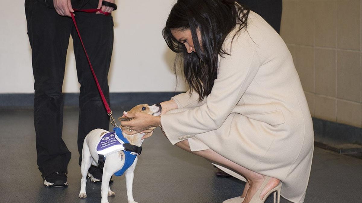 Meghan Markle con un perro tras su visita a un centro de animales