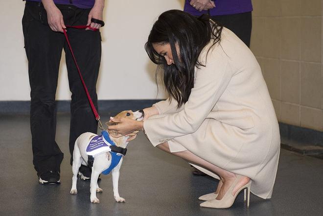 Meghan Markle con un perro tras su visita a un centro de animales