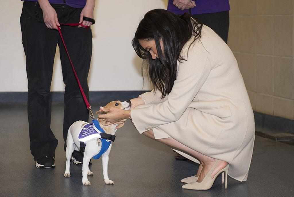 Meghan Markle durante una visita al centro de animales Mayhew del norte de Londres