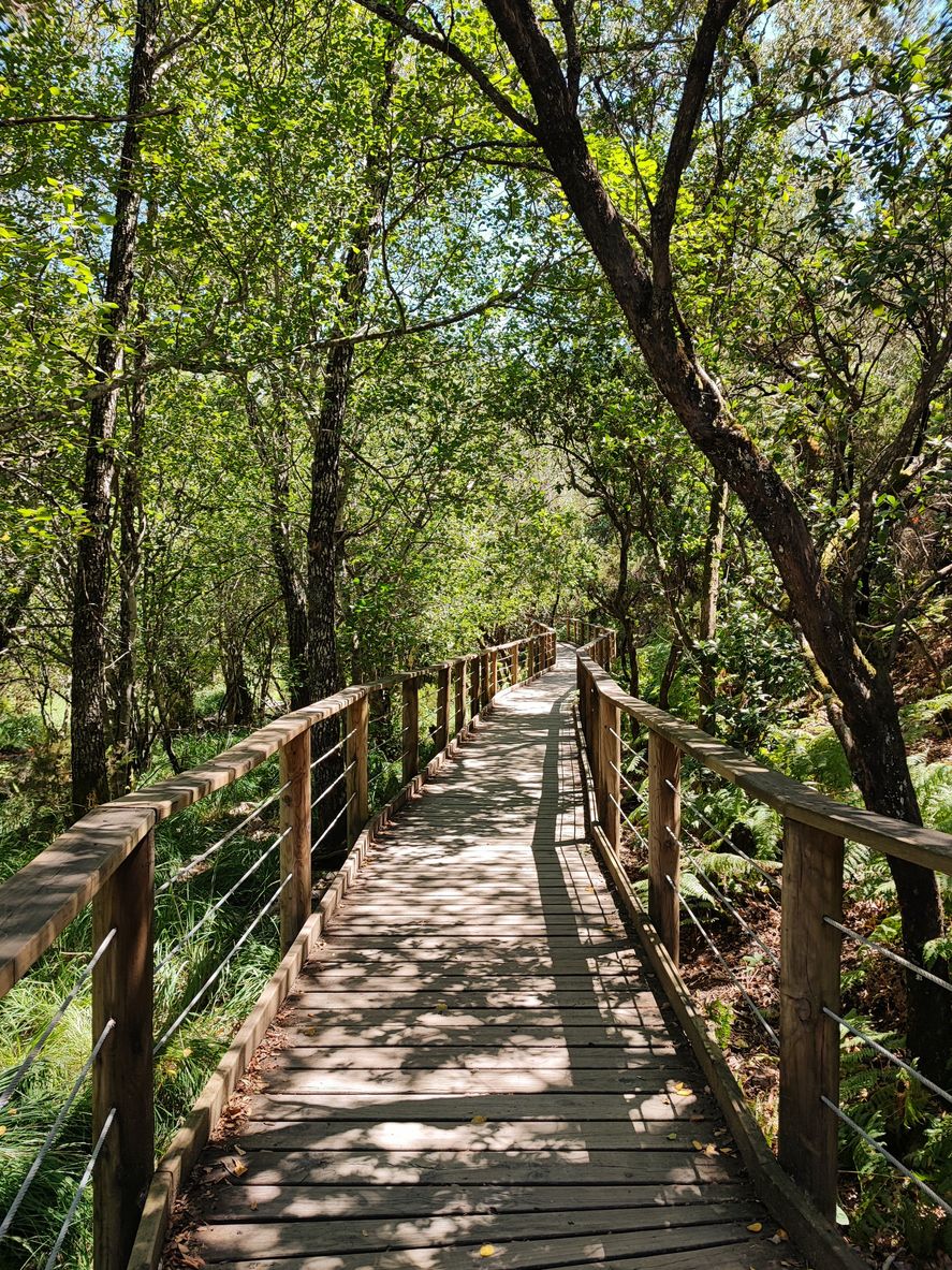 Plataforma en el parque natural de las Bartuecas