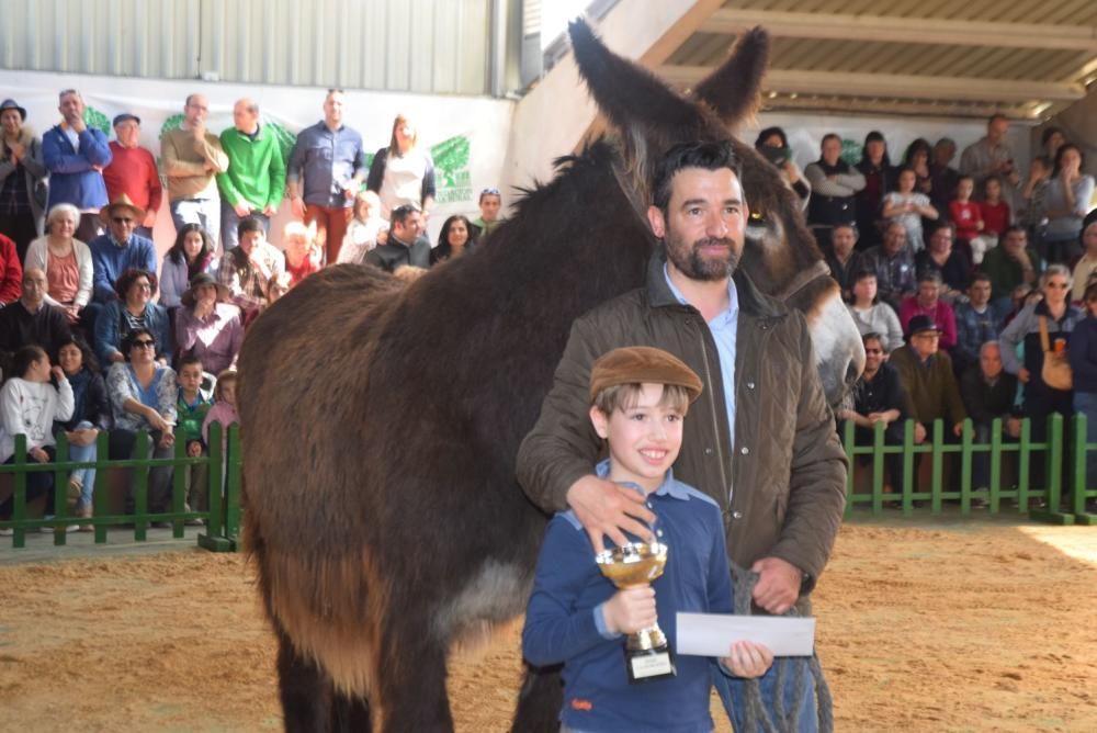 Feria del Burro y romería en San Vitero de Aliste