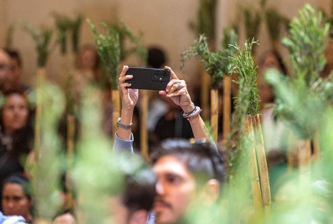 Las fotos de la Santa Faz 2025
