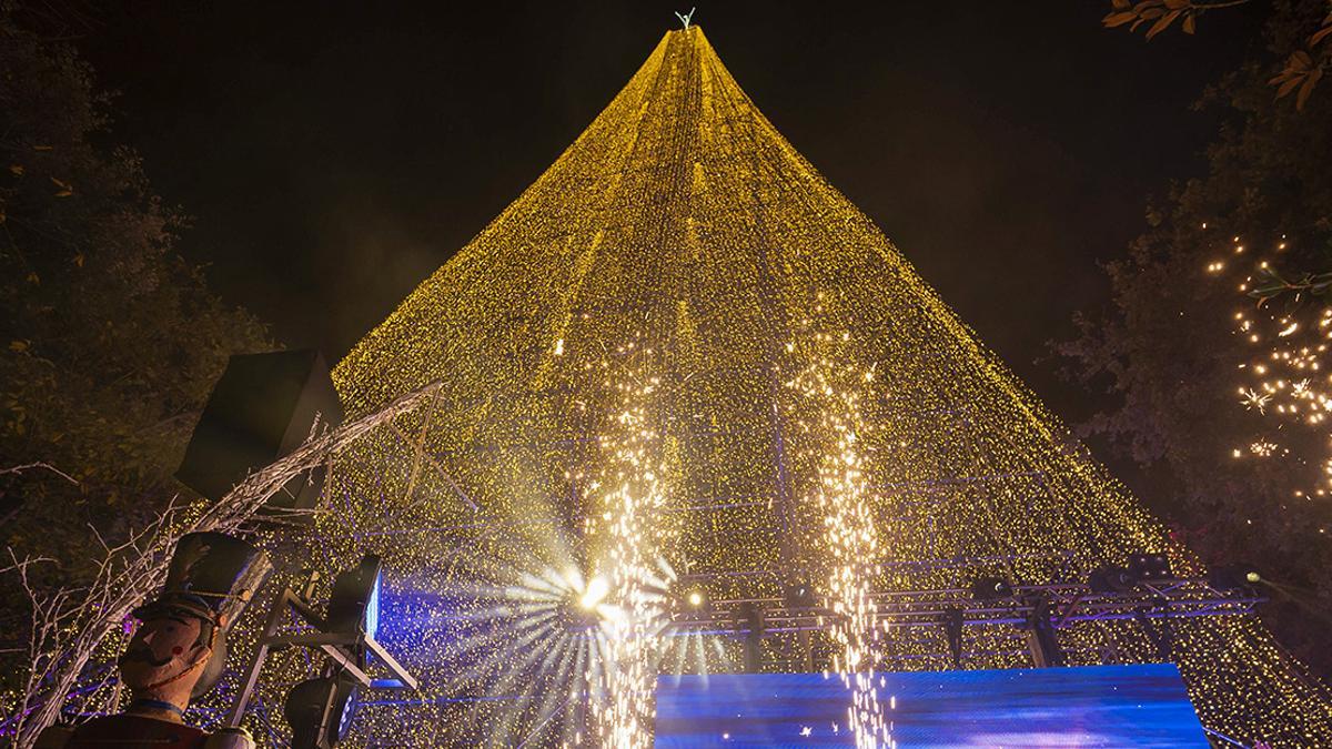 Encendido del árbol de Navidad más grande de España, en Cantabria, de 65 metros y 24.000 luces