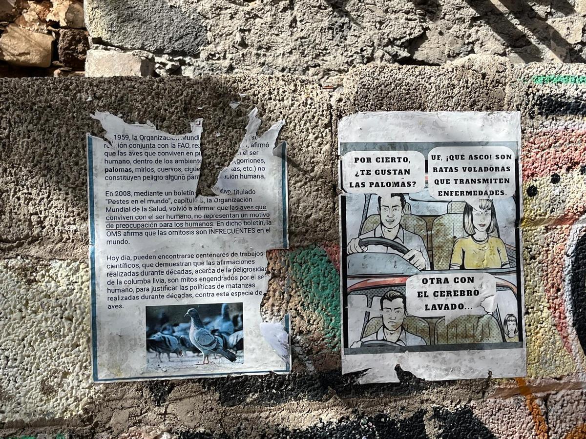¿Qué hay detrás de los carteles para “salvar a las palomas” en Santa Cruz?