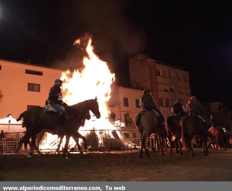 Sant Antoni en la provincia de Castellón