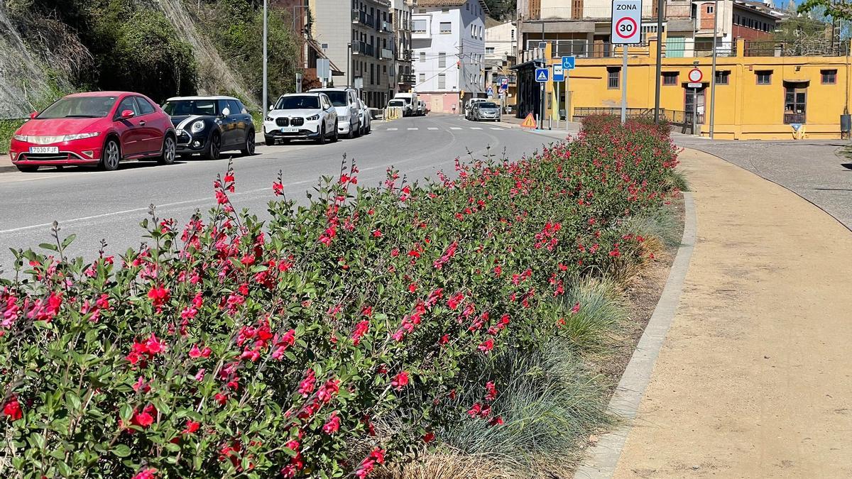 Zona enjardinada del carrer de l'Estació de Sallent