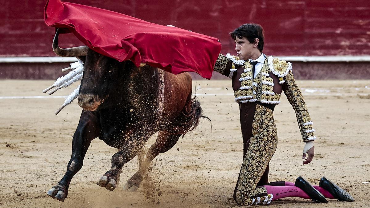 Der peruanische Stierkämpfer Roca Rey tritt zum ersten Mal in Palma auf.