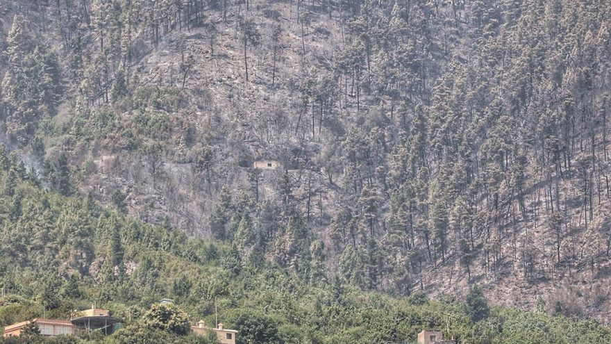 Los medios aéreos siguen trabajando en el control del incendio de Tenerife