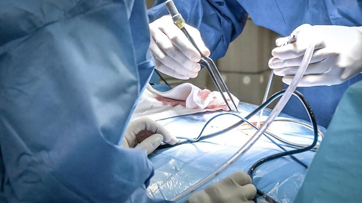 Ana María Dasí Espinosa resalta la importancia de la inmediatez en la atención. |