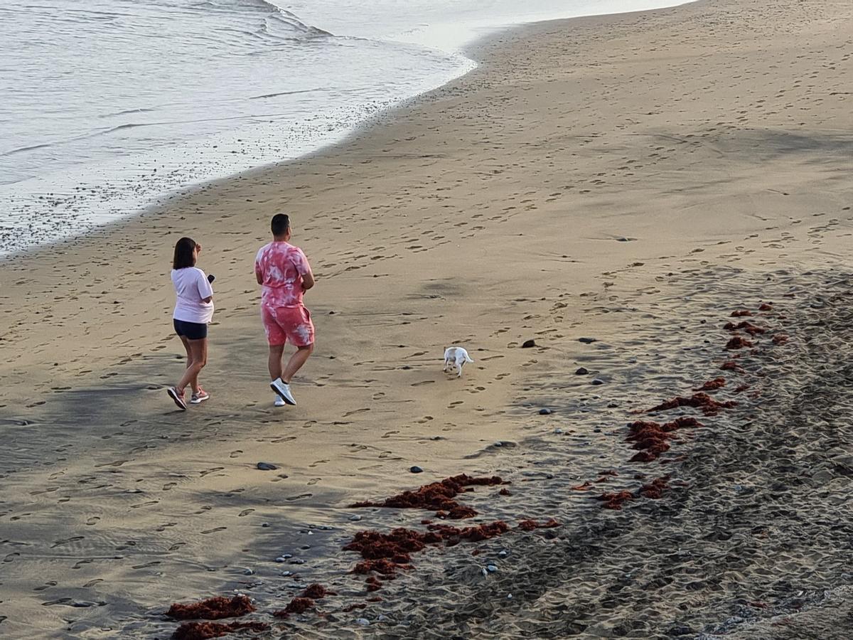 La pareja paseando con el perro por Las Canteras