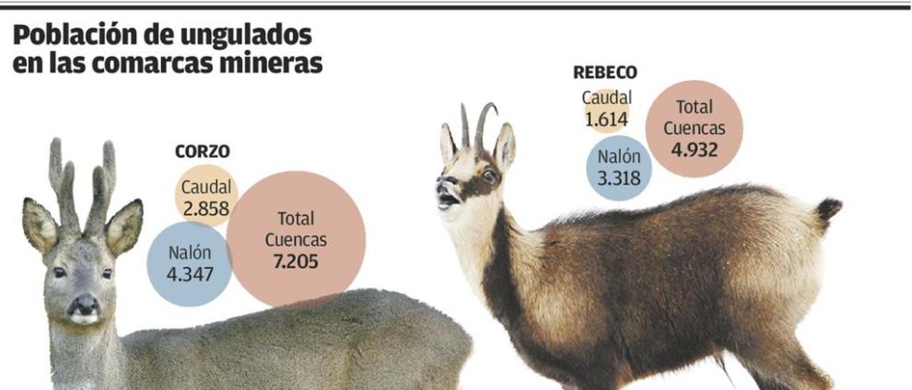 Una fauna de 30.000 animales