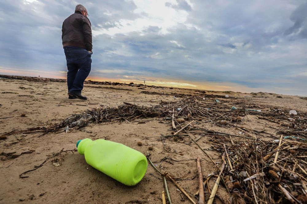 Más de tres mil fragmentos de plástico por metro cuadrado se pueden encontrar en la arena de la playa situada junto a la desembocadura del Segura en Guardamar