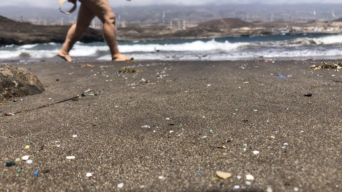 They denounce the accumulation of plastics and garbage in El Porís Beach