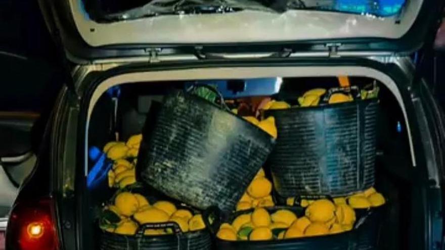 La Policía Local de Orihuela frustra un robo de 350 kilos de