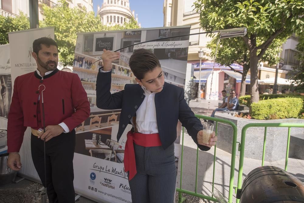 Fotogalería / Fiesta de la Vendimia en las Tendillas