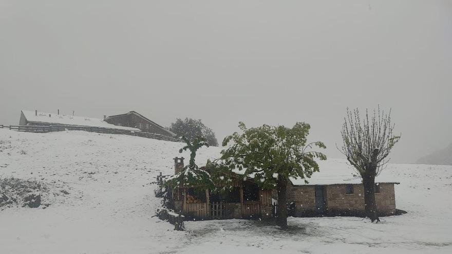 VÍDEO: Nevada en la subida a Brañagallones, en Caso, el corazón del parque natural de Redes