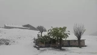 "Nevadona" en pleno 15 de mayo en Brañagallones, el corazón del parque natural de Redes