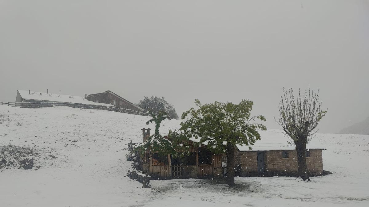 VÍDEO: Nevada en la subida a Brañagallones, en Caso, el corazón del parque natural de Redes