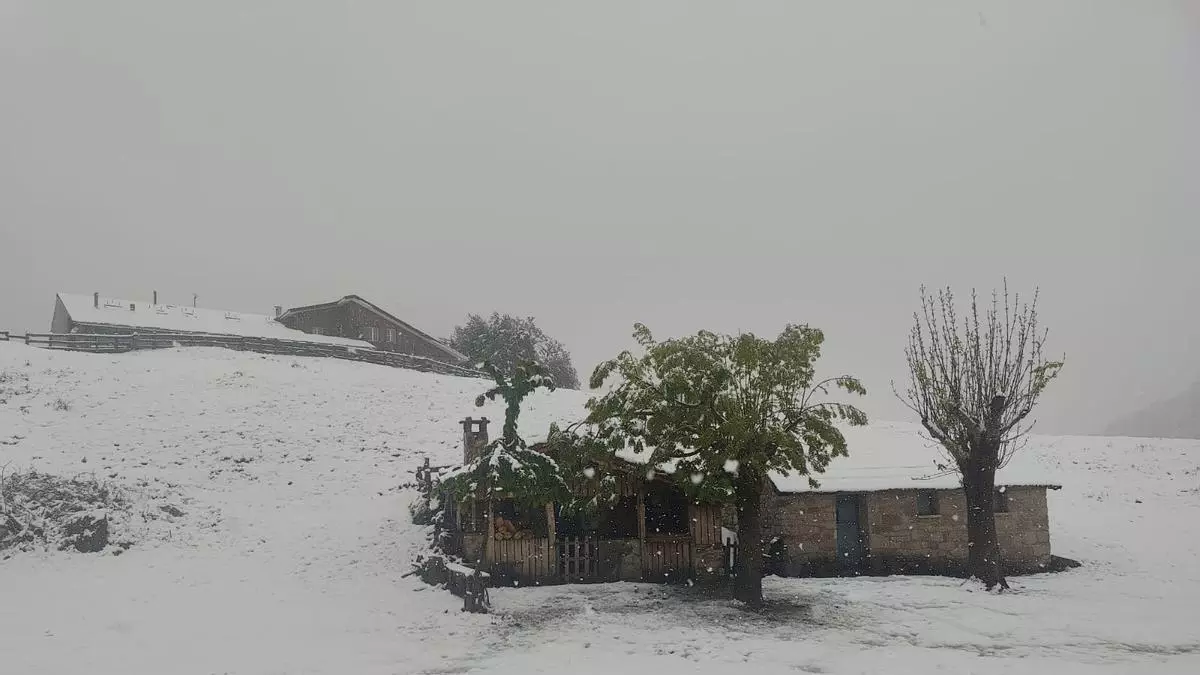 "Nevadona" en pleno 15 de mayo en Brañagallones, el corazón del parque natural de Redes