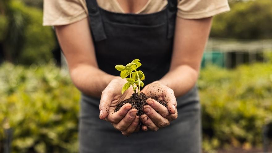 Transformando la agricultura: eAgronom y su revolución sostenible