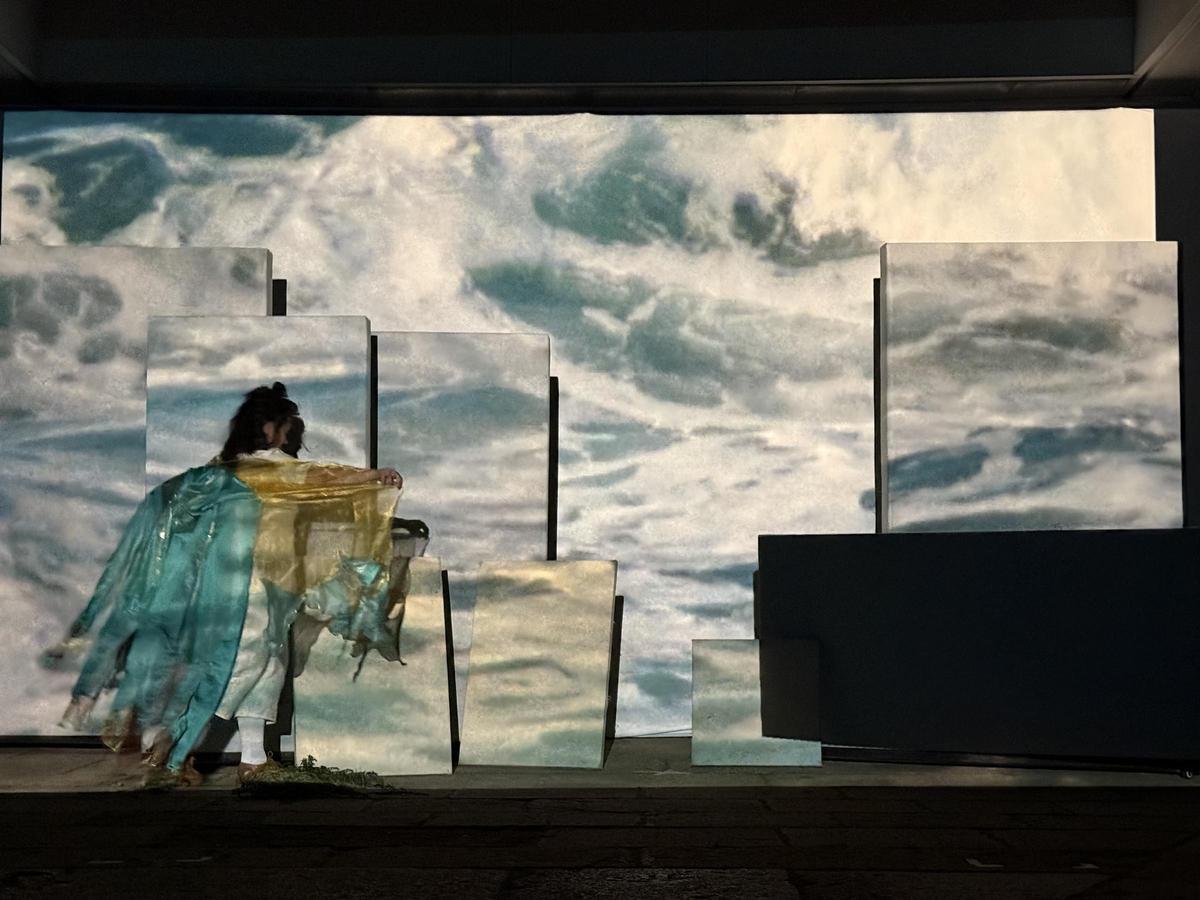 Performance con cinema expandido de Tânia Dinis.