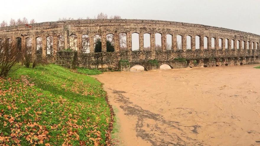 Una quedada para dejar como una patena el río Albarregas de Mérida