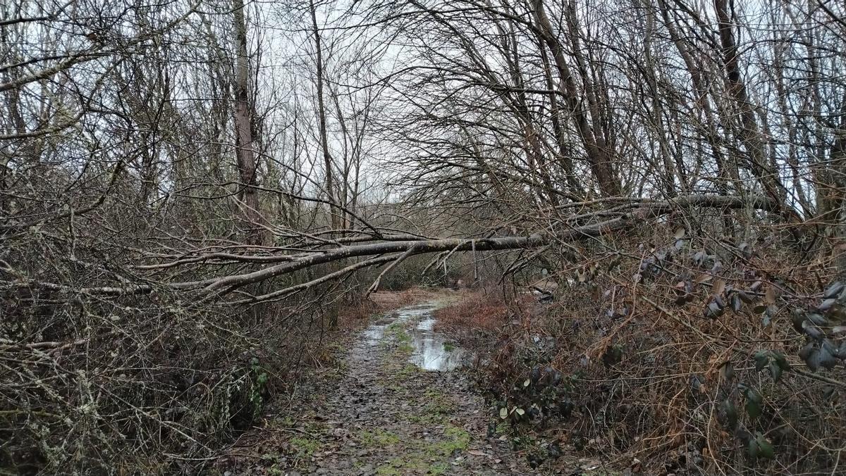 Desbordamientos y cortes de caminos en Sanabria, en imágenes Desbordamientos y cortes de caminos en Sanabria, en imágenes
