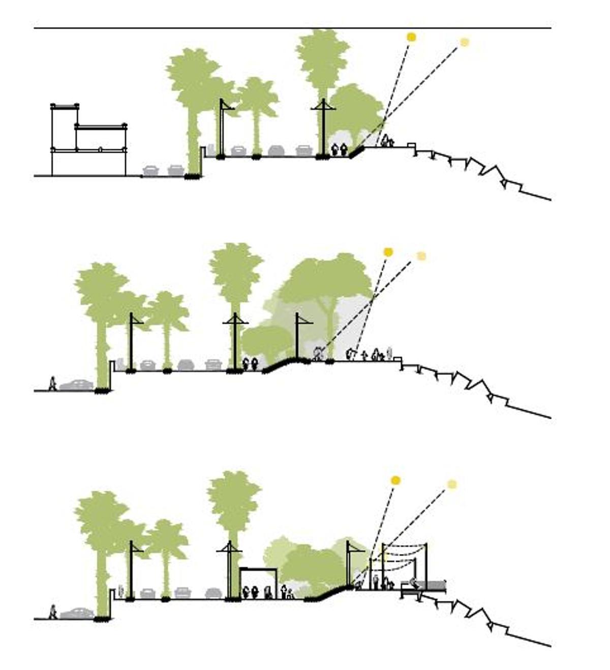 Alternativas de especies para el Paseo de Levante, según los promotores del rascacielos.