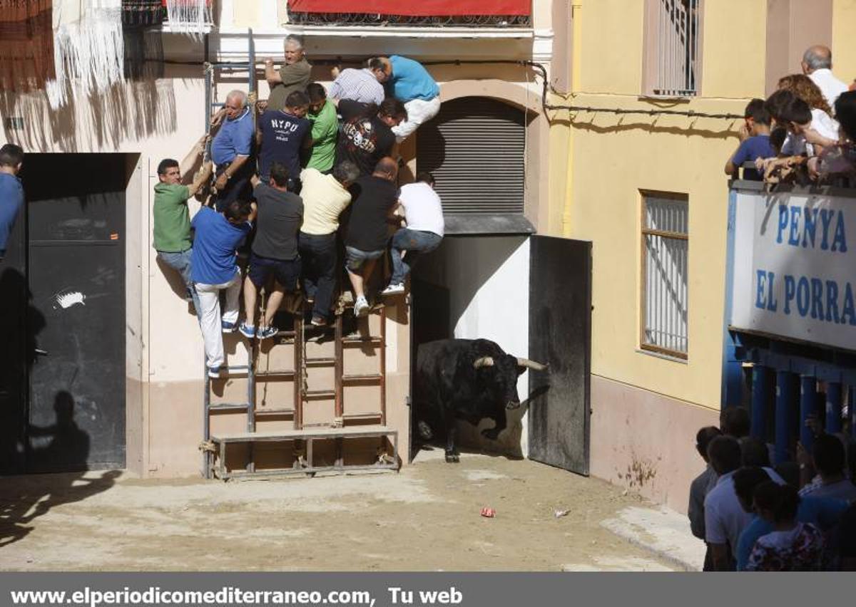 GALERÍA DE FOTOS -- Festejos en honor a Santa Quitèria